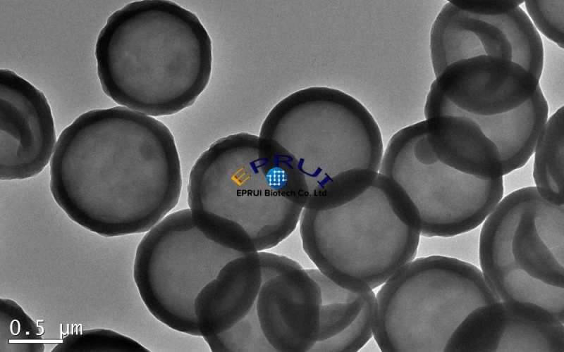 1um-Hollow-Polystyrene-Microspheres 1um-Hollow-Polystyrene-Microspheres