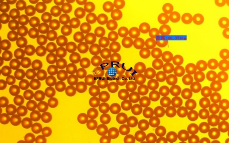 40um-medical-grade-PMMA