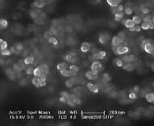 Carbon Nanoparticles