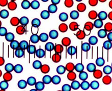 Dyed Polystyrene Latex Microbeads