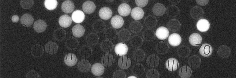 Flow Cytometry Calibration Microspheres