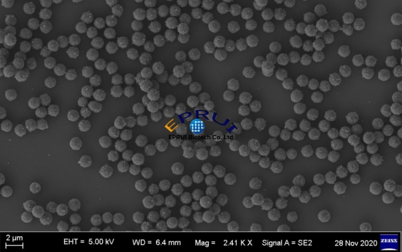 Functionalized Magnetic Nanoparticles