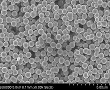 Magnetic Nanoparticles Magnetic Nanoparticles