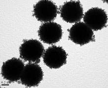 Magnetic Silica Microspheres