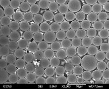 Monodisperse GMA Microspheres