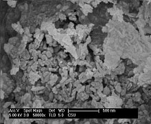 Nano Hydroxyapatite Powder Nano Hydroxyapatite Powder