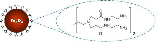 PAMAM Magnetic Nanoparticles Structure