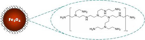 PEI Magnetic Nanoparticles Structure