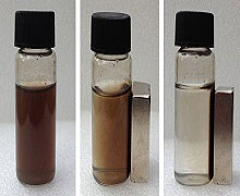 PVA Coated Magnetic Nanoparticles