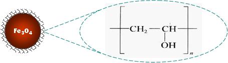 PVA Magnetic Nanoparticles Structure