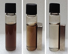 PVA Magnetic Nanoparticles