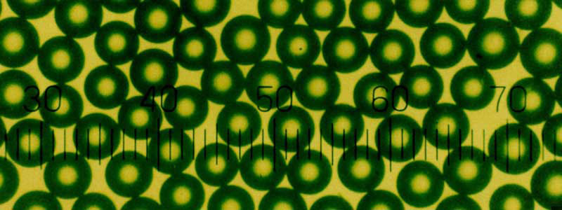 Polystyrene Fluorescent Microspheres