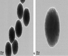 Silanol-Functionalized Magnetic Nanoparticles