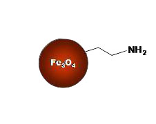 Amino Group Functionalized Magnetic Nanoparticles Structure