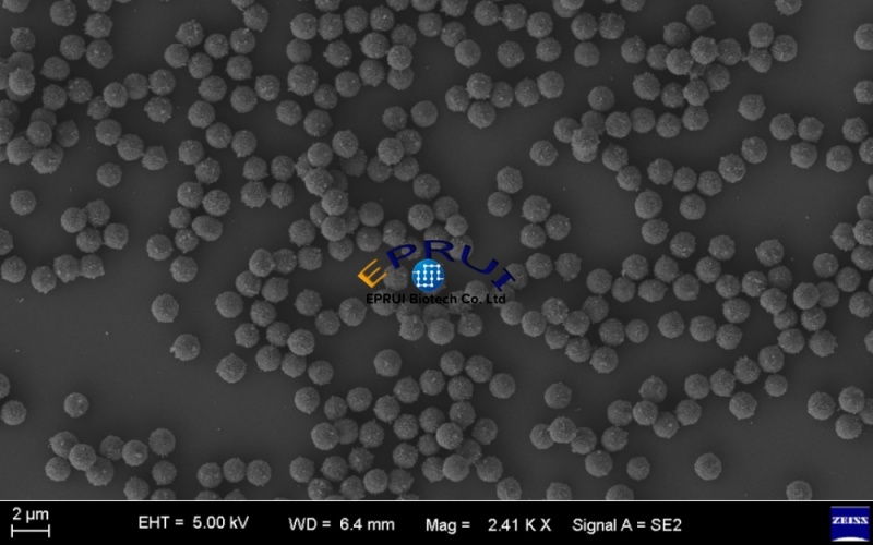 Streptavidin-Magnetic-Beads Streptavidin-Magnetic-Beads