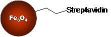 Streptavidin Magnetic Nanoparticles Structure