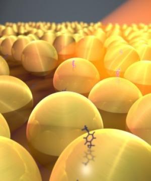 Gold nanoparticles align in a single layer in this graphical representation