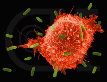 nanoparticles treat cancer