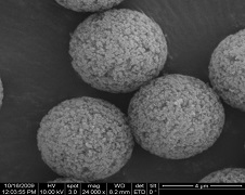 Porous Polystyrene-Divinylbenzene Microspheres