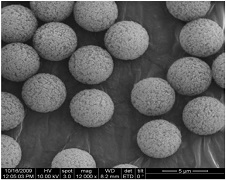 Monodisperse Silica Microspheres-Porous